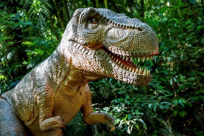 Dinossauro descoberto em Sintra!